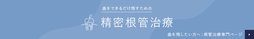 歯をできるだけ残すための精密根管治療 歯を残したい方へ 根管治療専門ページ